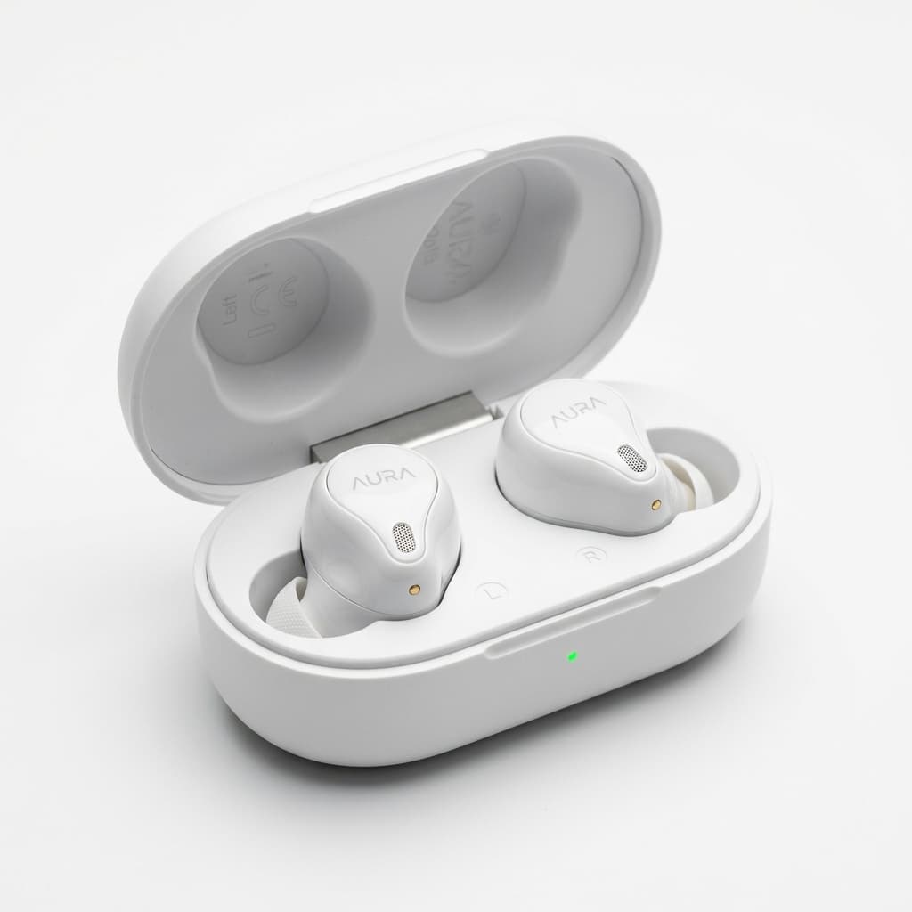WIRELESS BLUETOOTH EARBUDS